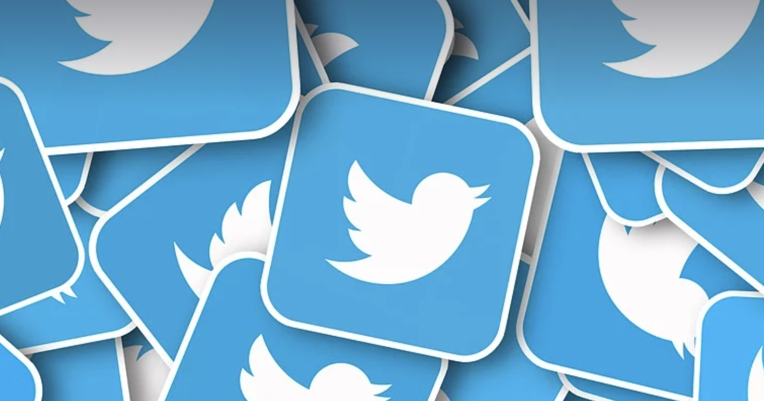 电鸽app 实时刷新的瓜圈现场 全记录,电子鸽钟