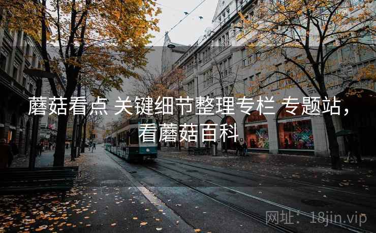 蘑菇看点 关键细节整理专栏 专题站，看蘑菇百科