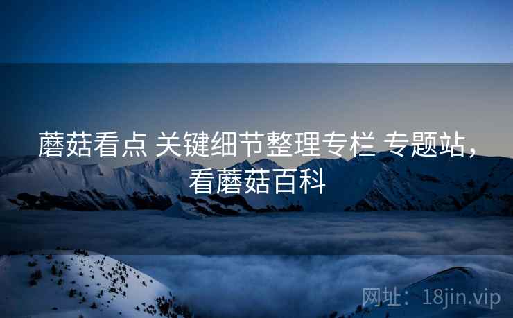 蘑菇看点 关键细节整理专栏 专题站,看蘑菇百科 蘑菇看点 关键细节整理专栏 专题站,看蘑菇百科