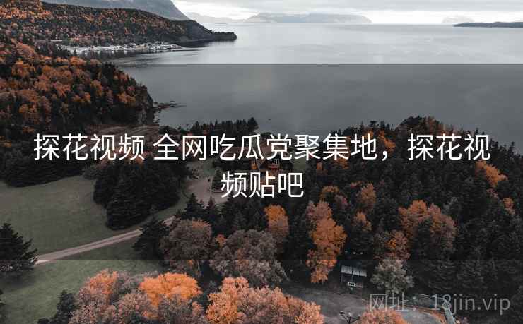 探花视频 全网吃瓜党聚集地，探花视频贴吧
