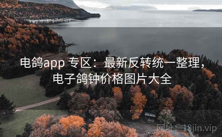 电鸽app 专区:最新反转统一整理,电子鸽钟价格图片大全